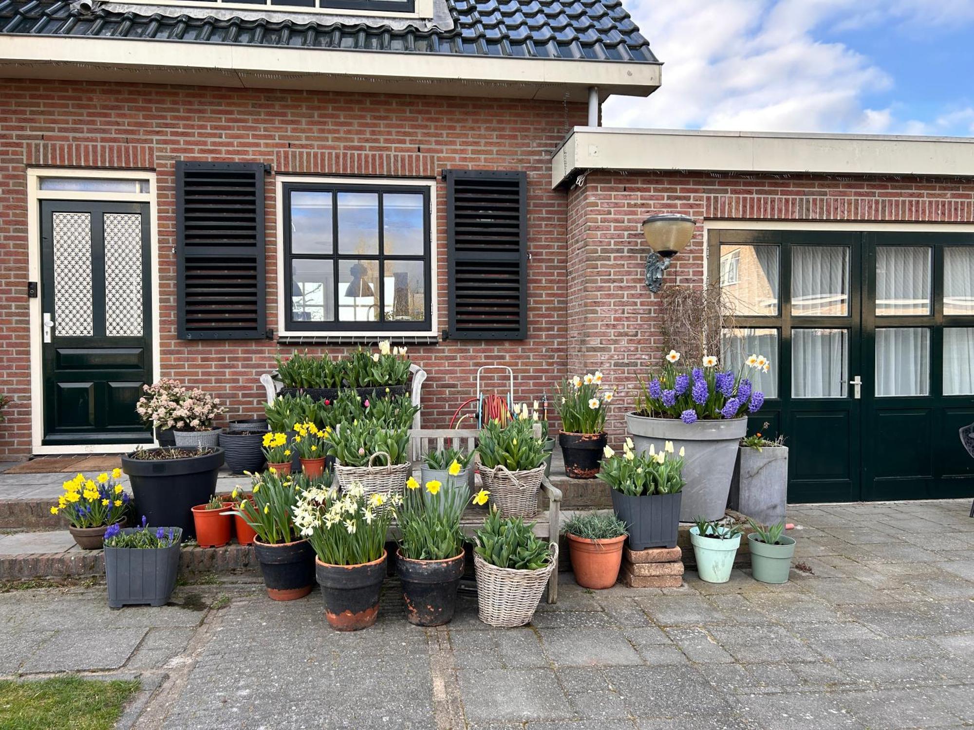 Flowerbed Voorhout Екстериор снимка